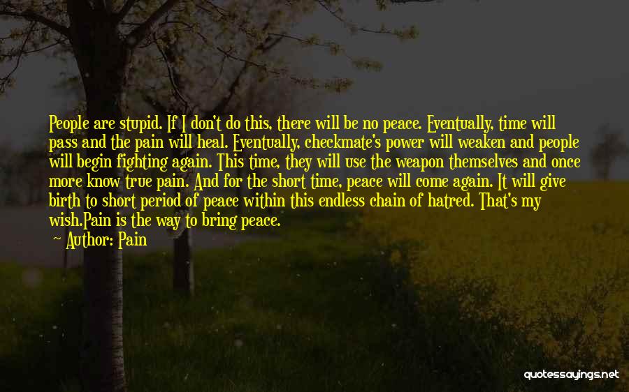 Pain Quotes: People Are Stupid. If I Don't Do This, There Will Be No Peace. Eventually, Time Will Pass And The Pain
