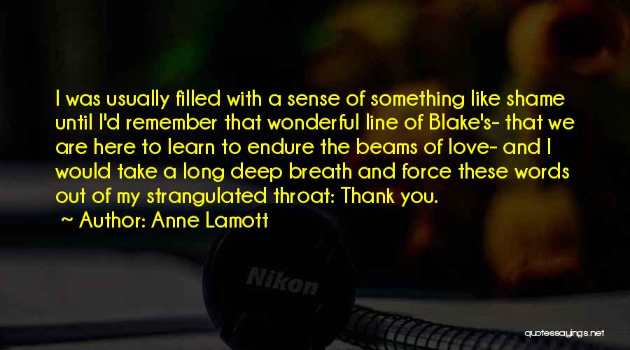 Anne Lamott Quotes: I Was Usually Filled With A Sense Of Something Like Shame Until I'd Remember That Wonderful Line Of Blake's- That