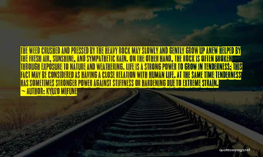 Kyuzo Mifune Quotes: The Weed Crushed And Pressed By The Heavy Rock May Slowly And Gently Grow Up Anew Helped By The Fresh