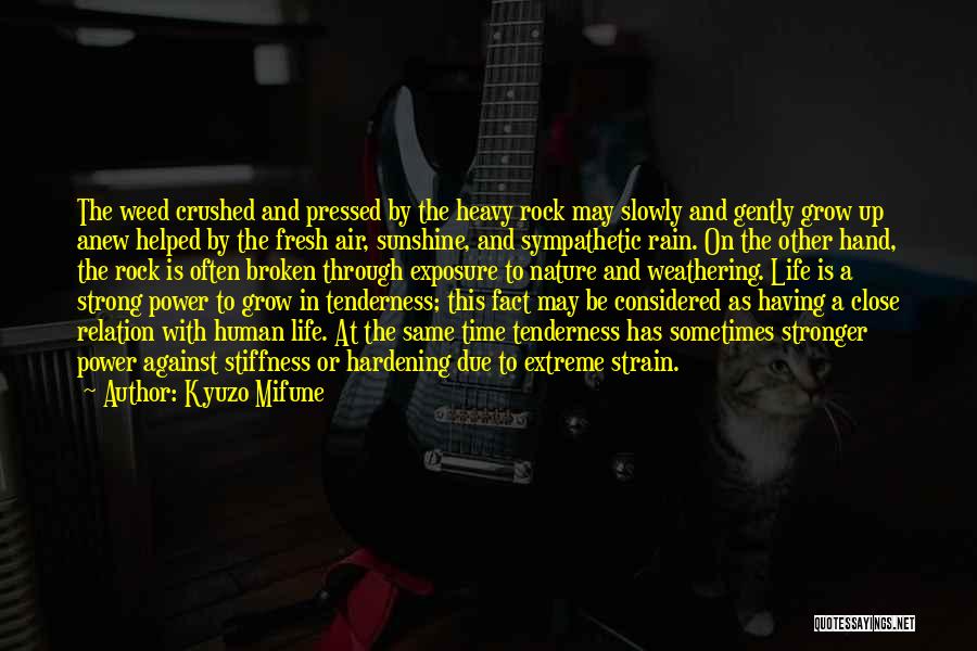Kyuzo Mifune Quotes: The Weed Crushed And Pressed By The Heavy Rock May Slowly And Gently Grow Up Anew Helped By The Fresh