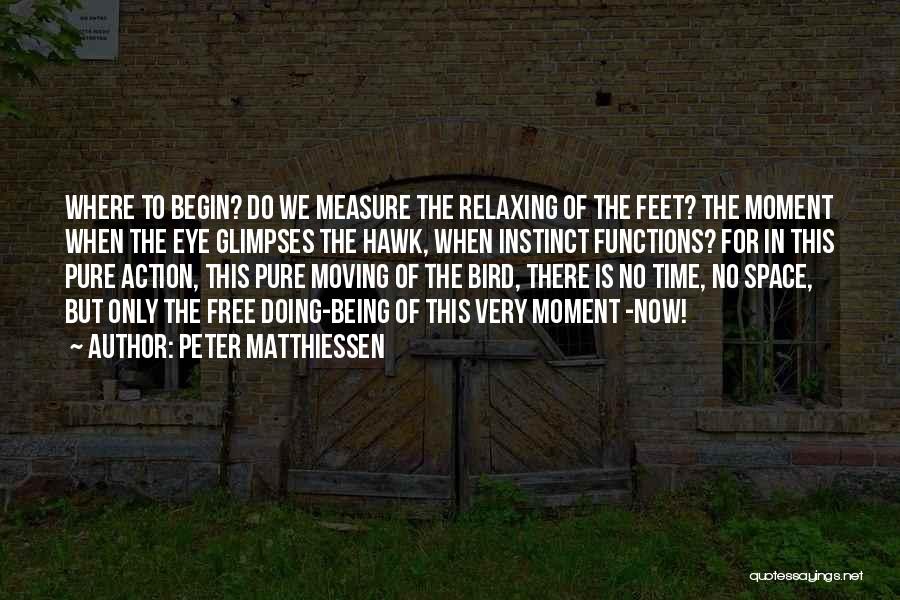 Peter Matthiessen Quotes: Where To Begin? Do We Measure The Relaxing Of The Feet? The Moment When The Eye Glimpses The Hawk, When