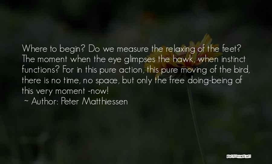 Peter Matthiessen Quotes: Where To Begin? Do We Measure The Relaxing Of The Feet? The Moment When The Eye Glimpses The Hawk, When