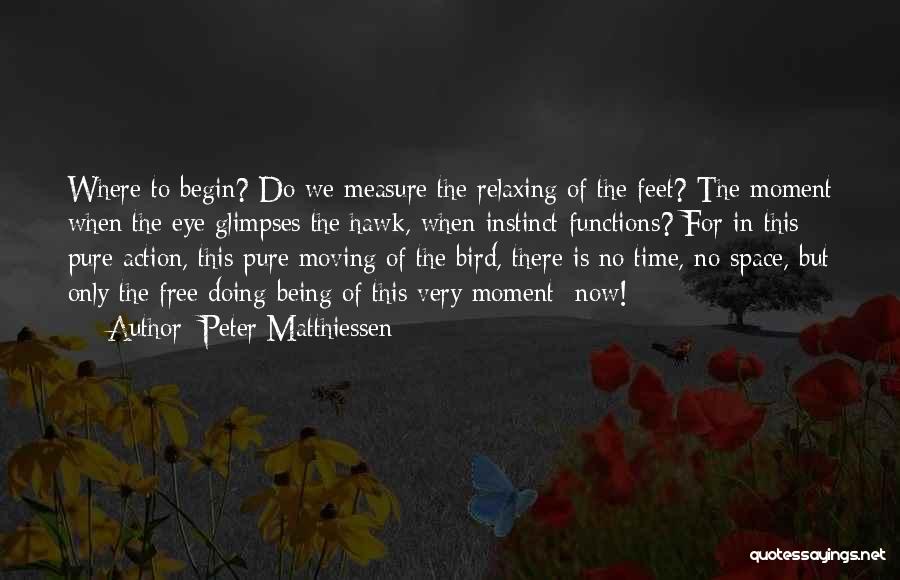 Peter Matthiessen Quotes: Where To Begin? Do We Measure The Relaxing Of The Feet? The Moment When The Eye Glimpses The Hawk, When