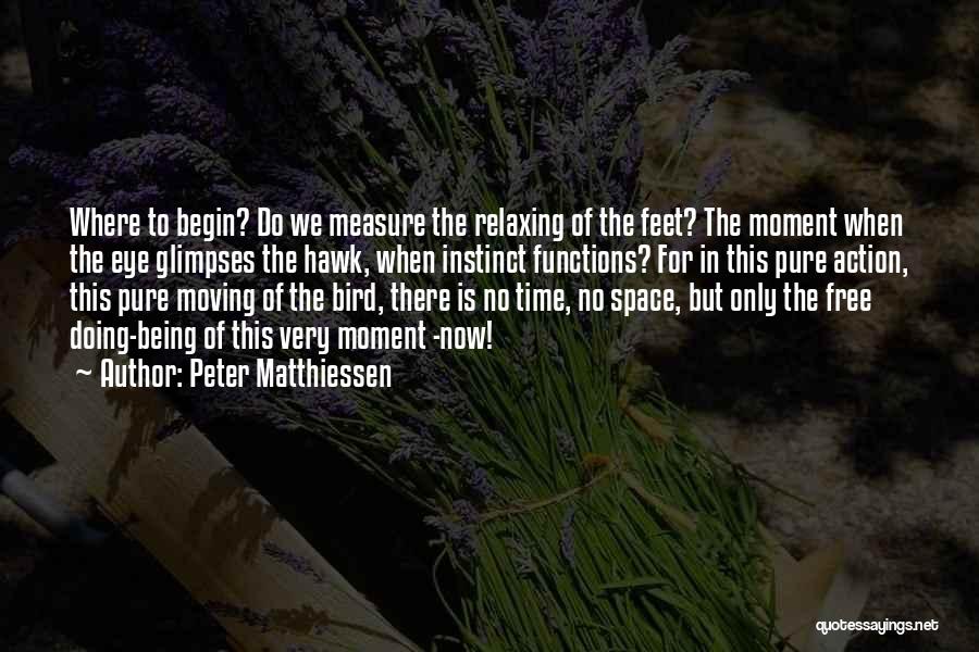 Peter Matthiessen Quotes: Where To Begin? Do We Measure The Relaxing Of The Feet? The Moment When The Eye Glimpses The Hawk, When