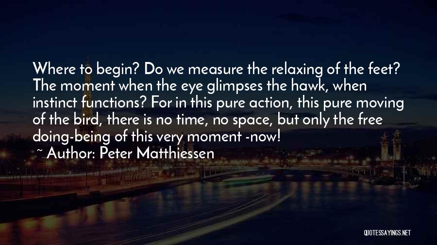 Peter Matthiessen Quotes: Where To Begin? Do We Measure The Relaxing Of The Feet? The Moment When The Eye Glimpses The Hawk, When