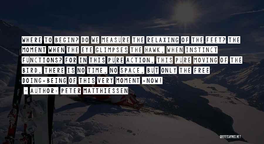 Peter Matthiessen Quotes: Where To Begin? Do We Measure The Relaxing Of The Feet? The Moment When The Eye Glimpses The Hawk, When