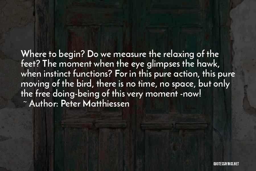 Peter Matthiessen Quotes: Where To Begin? Do We Measure The Relaxing Of The Feet? The Moment When The Eye Glimpses The Hawk, When