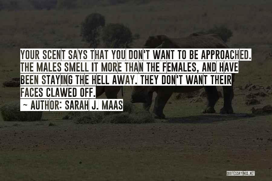 Sarah J. Maas Quotes: Your Scent Says That You Don't Want To Be Approached. The Males Smell It More Than The Females, And Have