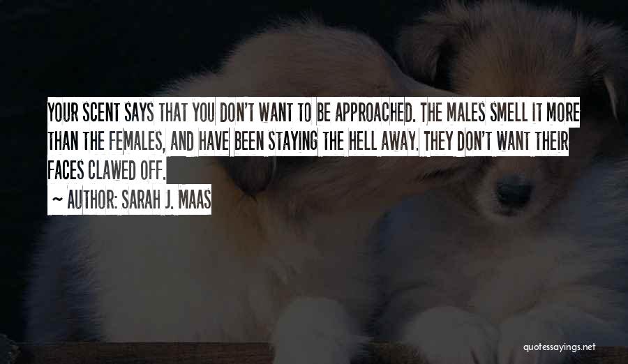 Sarah J. Maas Quotes: Your Scent Says That You Don't Want To Be Approached. The Males Smell It More Than The Females, And Have