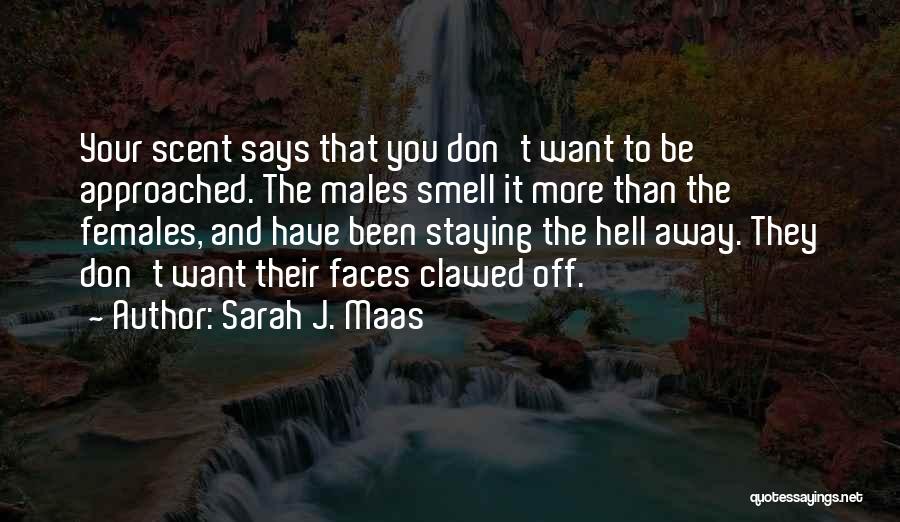 Sarah J. Maas Quotes: Your Scent Says That You Don't Want To Be Approached. The Males Smell It More Than The Females, And Have