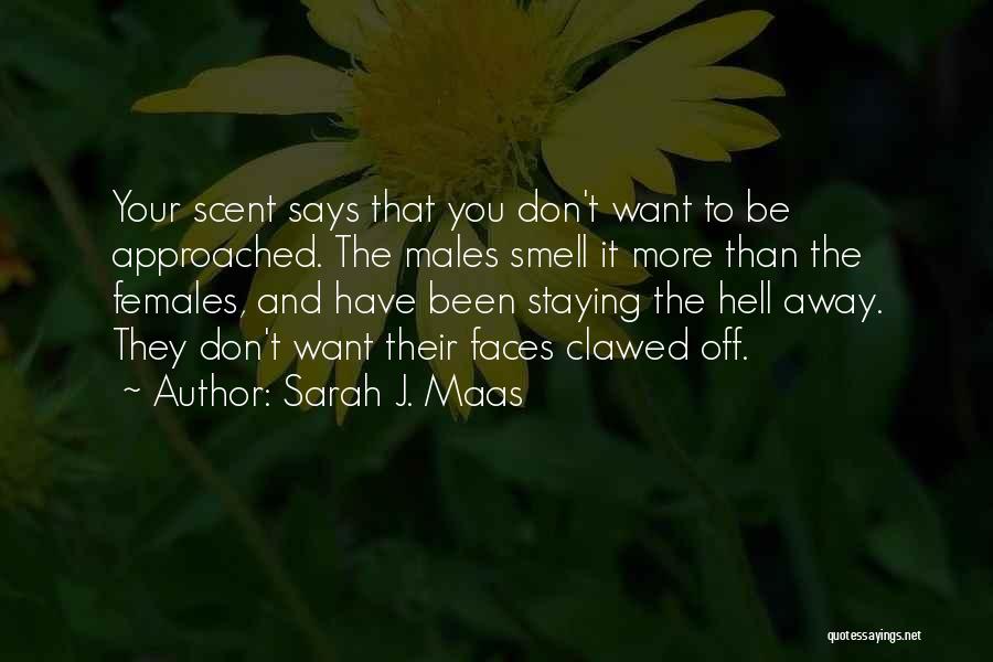 Sarah J. Maas Quotes: Your Scent Says That You Don't Want To Be Approached. The Males Smell It More Than The Females, And Have