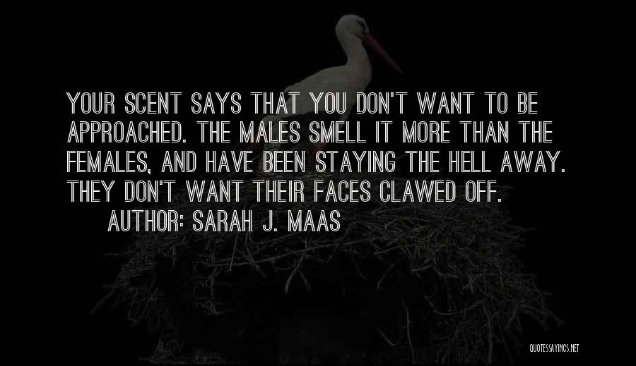 Sarah J. Maas Quotes: Your Scent Says That You Don't Want To Be Approached. The Males Smell It More Than The Females, And Have