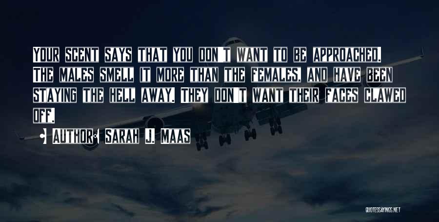 Sarah J. Maas Quotes: Your Scent Says That You Don't Want To Be Approached. The Males Smell It More Than The Females, And Have