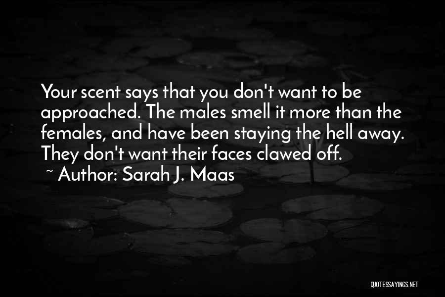 Sarah J. Maas Quotes: Your Scent Says That You Don't Want To Be Approached. The Males Smell It More Than The Females, And Have