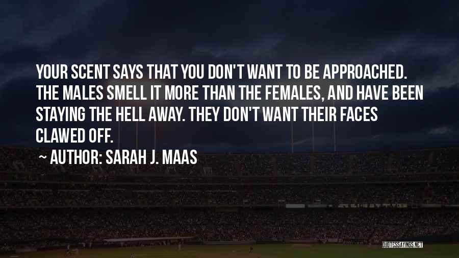 Sarah J. Maas Quotes: Your Scent Says That You Don't Want To Be Approached. The Males Smell It More Than The Females, And Have