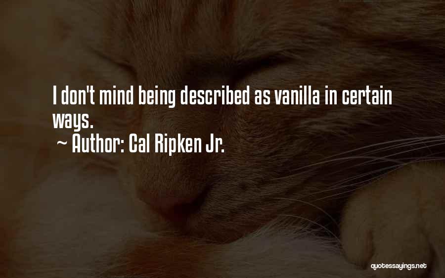 Cal Ripken Jr. Quotes: I Don't Mind Being Described As Vanilla In Certain Ways.