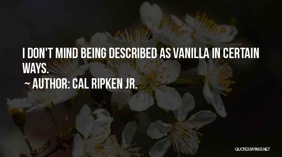 Cal Ripken Jr. Quotes: I Don't Mind Being Described As Vanilla In Certain Ways.