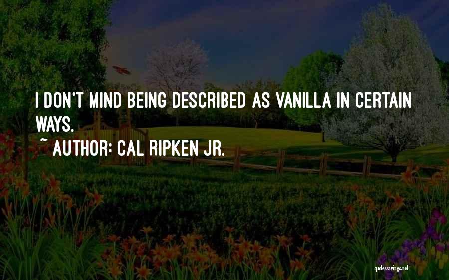 Cal Ripken Jr. Quotes: I Don't Mind Being Described As Vanilla In Certain Ways.