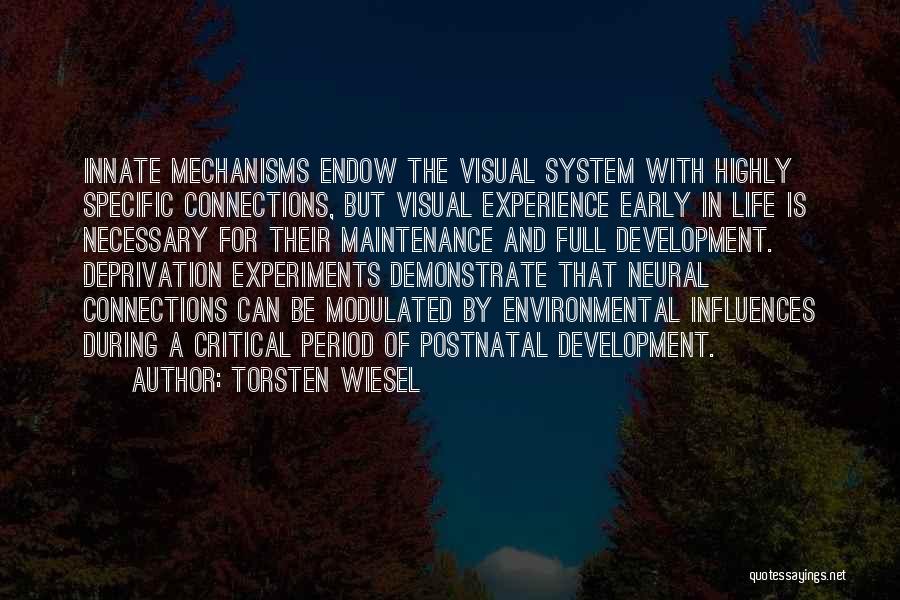 Torsten Wiesel Quotes: Innate Mechanisms Endow The Visual System With Highly Specific Connections, But Visual Experience Early In Life Is Necessary For Their