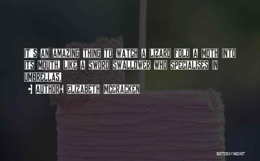 Elizabeth McCracken Quotes: It's An Amazing Thing To Watch A Lizard Fold A Moth Into Its Mouth, Like A Sword Swallower Who Specialises