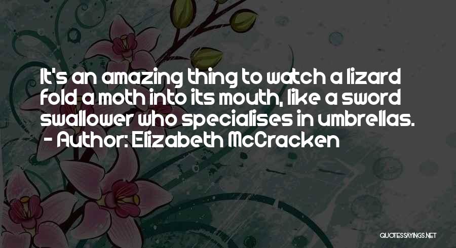 Elizabeth McCracken Quotes: It's An Amazing Thing To Watch A Lizard Fold A Moth Into Its Mouth, Like A Sword Swallower Who Specialises