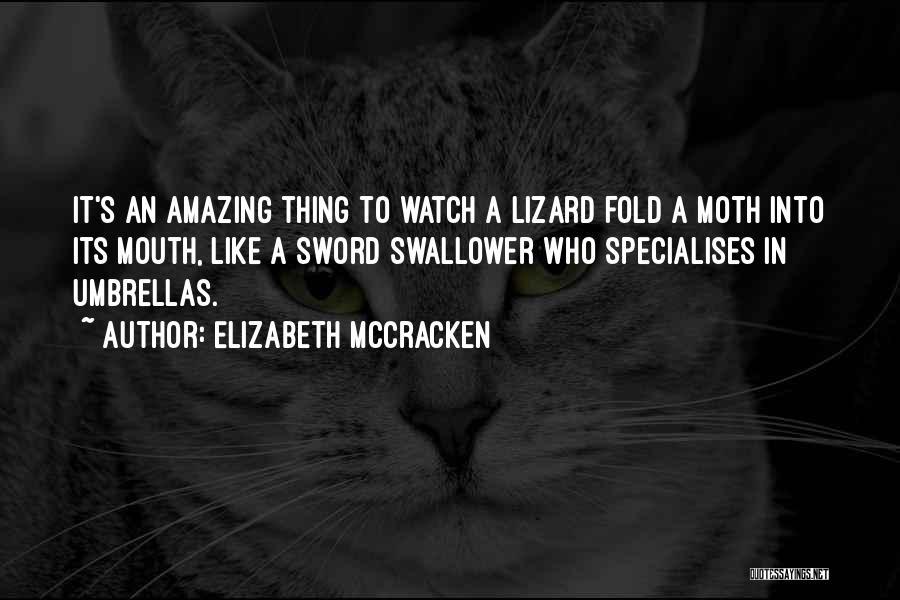 Elizabeth McCracken Quotes: It's An Amazing Thing To Watch A Lizard Fold A Moth Into Its Mouth, Like A Sword Swallower Who Specialises