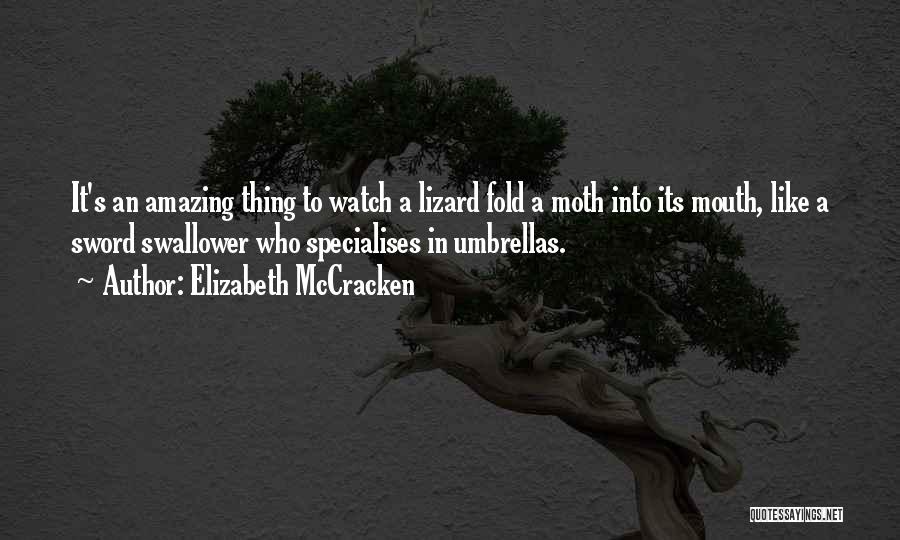 Elizabeth McCracken Quotes: It's An Amazing Thing To Watch A Lizard Fold A Moth Into Its Mouth, Like A Sword Swallower Who Specialises