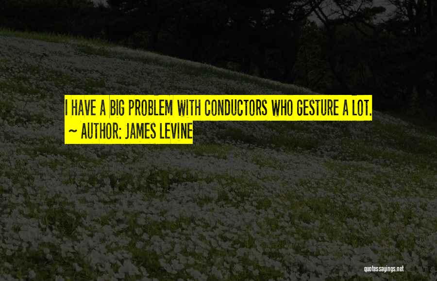 James Levine Quotes: I Have A Big Problem With Conductors Who Gesture A Lot.