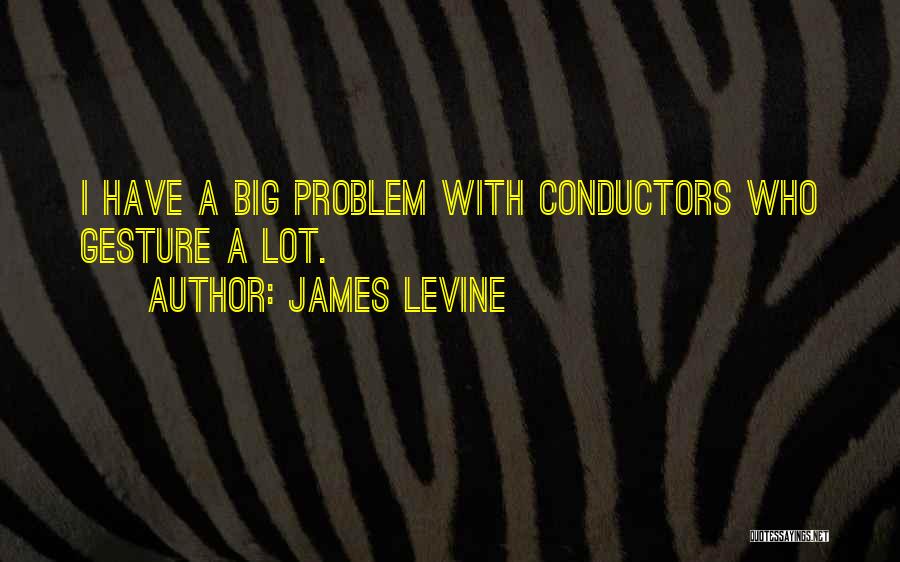 James Levine Quotes: I Have A Big Problem With Conductors Who Gesture A Lot.