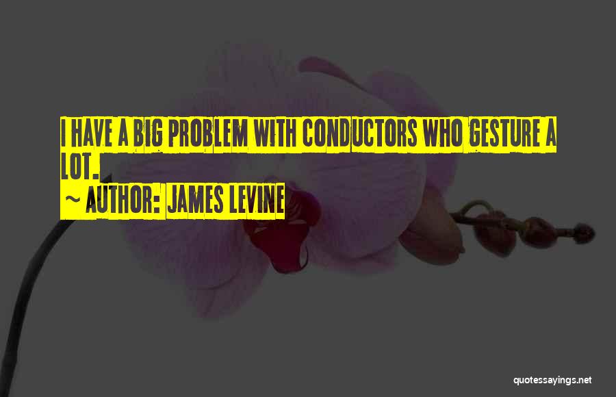 James Levine Quotes: I Have A Big Problem With Conductors Who Gesture A Lot.