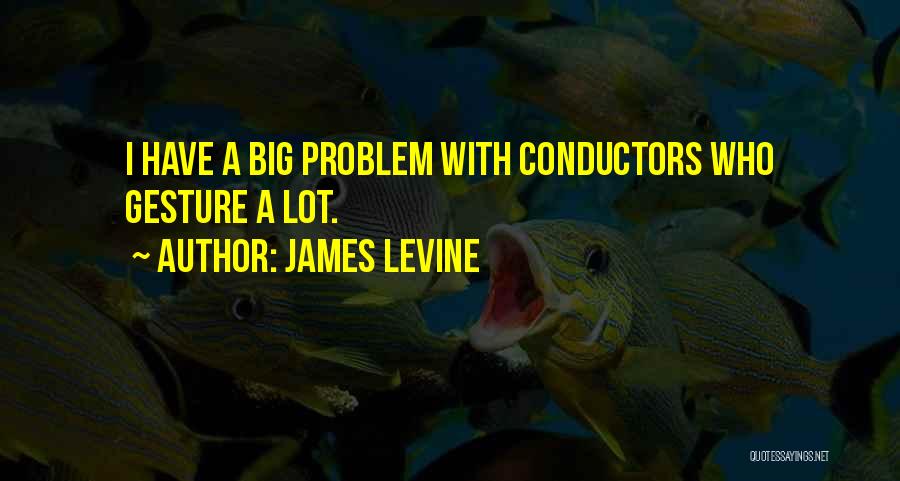 James Levine Quotes: I Have A Big Problem With Conductors Who Gesture A Lot.