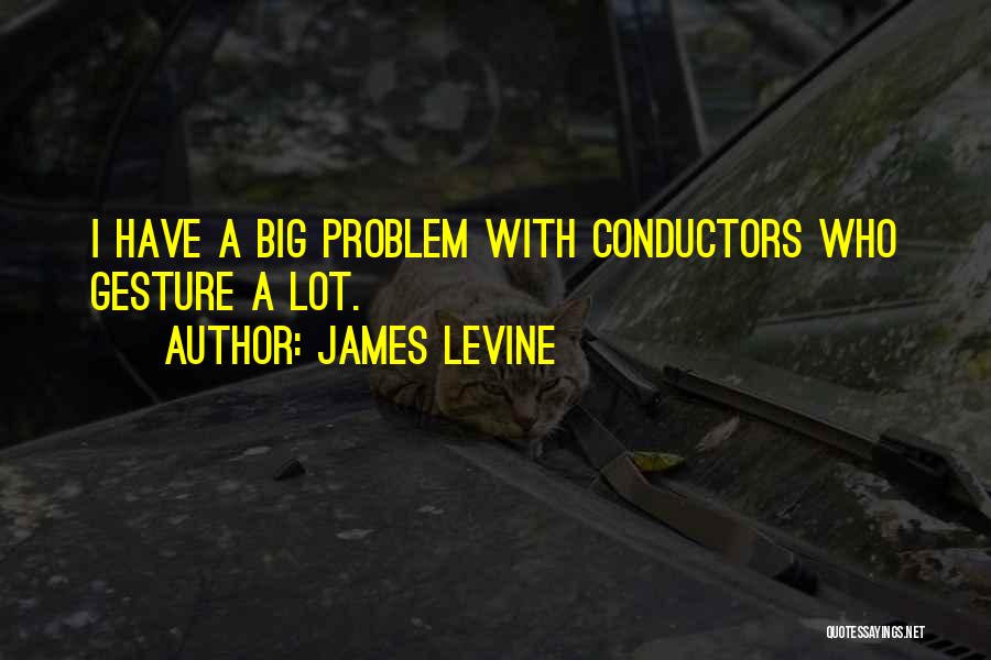 James Levine Quotes: I Have A Big Problem With Conductors Who Gesture A Lot.