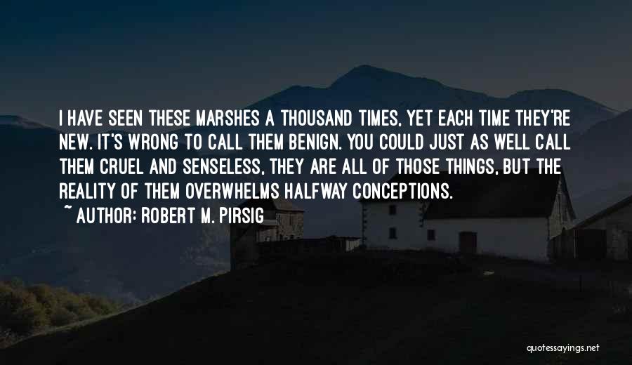 Robert M. Pirsig Quotes: I Have Seen These Marshes A Thousand Times, Yet Each Time They're New. It's Wrong To Call Them Benign. You