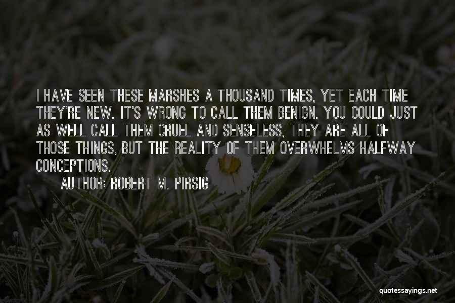 Robert M. Pirsig Quotes: I Have Seen These Marshes A Thousand Times, Yet Each Time They're New. It's Wrong To Call Them Benign. You