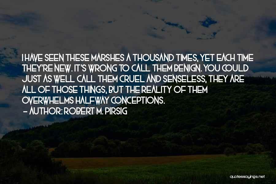 Robert M. Pirsig Quotes: I Have Seen These Marshes A Thousand Times, Yet Each Time They're New. It's Wrong To Call Them Benign. You