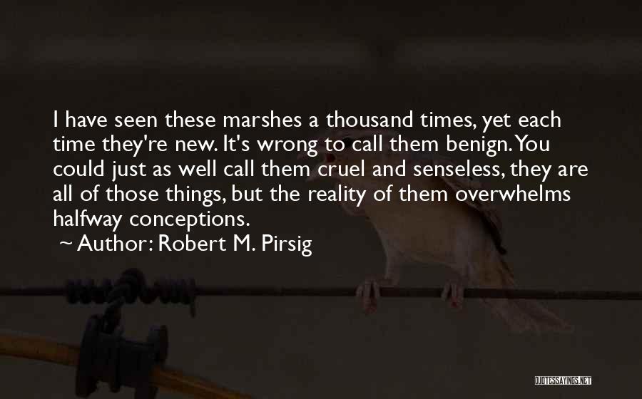 Robert M. Pirsig Quotes: I Have Seen These Marshes A Thousand Times, Yet Each Time They're New. It's Wrong To Call Them Benign. You
