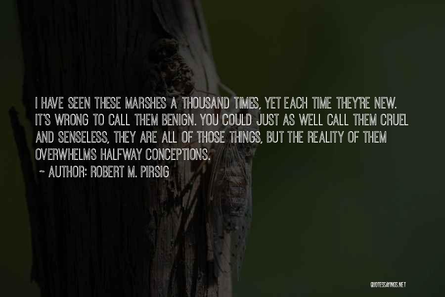 Robert M. Pirsig Quotes: I Have Seen These Marshes A Thousand Times, Yet Each Time They're New. It's Wrong To Call Them Benign. You