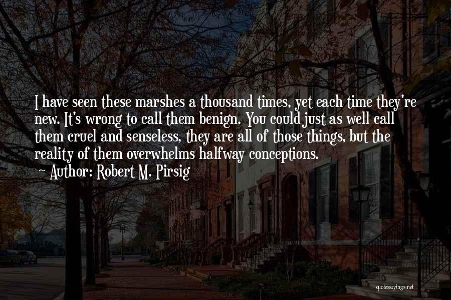 Robert M. Pirsig Quotes: I Have Seen These Marshes A Thousand Times, Yet Each Time They're New. It's Wrong To Call Them Benign. You