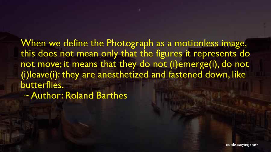 Roland Barthes Quotes: When We Define The Photograph As A Motionless Image, This Does Not Mean Only That The Figures It Represents Do