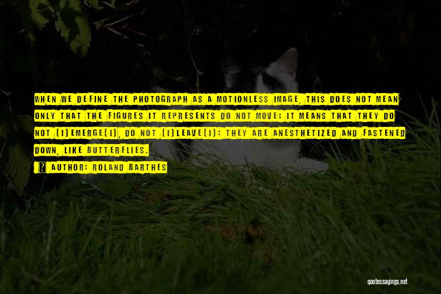 Roland Barthes Quotes: When We Define The Photograph As A Motionless Image, This Does Not Mean Only That The Figures It Represents Do