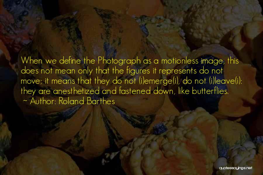Roland Barthes Quotes: When We Define The Photograph As A Motionless Image, This Does Not Mean Only That The Figures It Represents Do