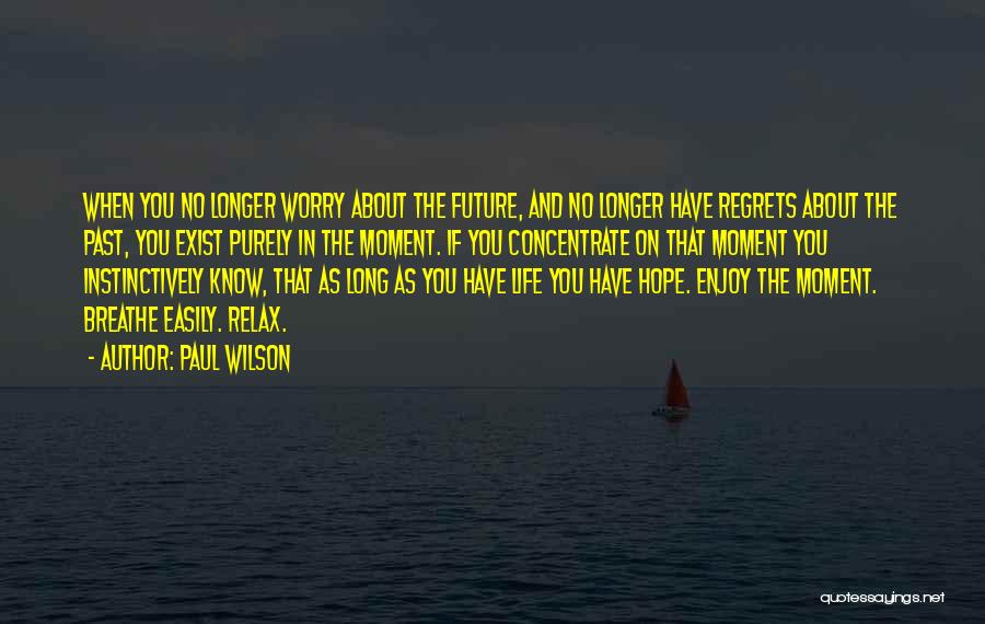 Paul Wilson Quotes: When You No Longer Worry About The Future, And No Longer Have Regrets About The Past, You Exist Purely In