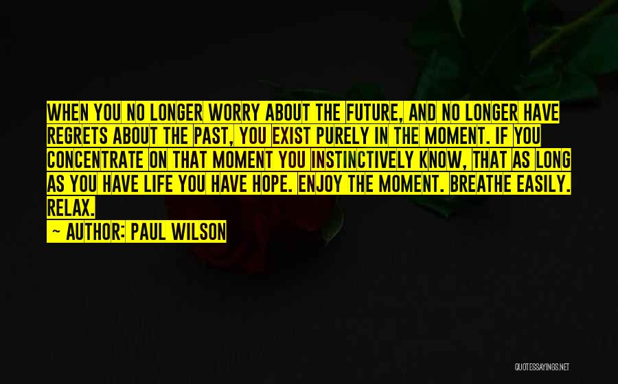 Paul Wilson Quotes: When You No Longer Worry About The Future, And No Longer Have Regrets About The Past, You Exist Purely In