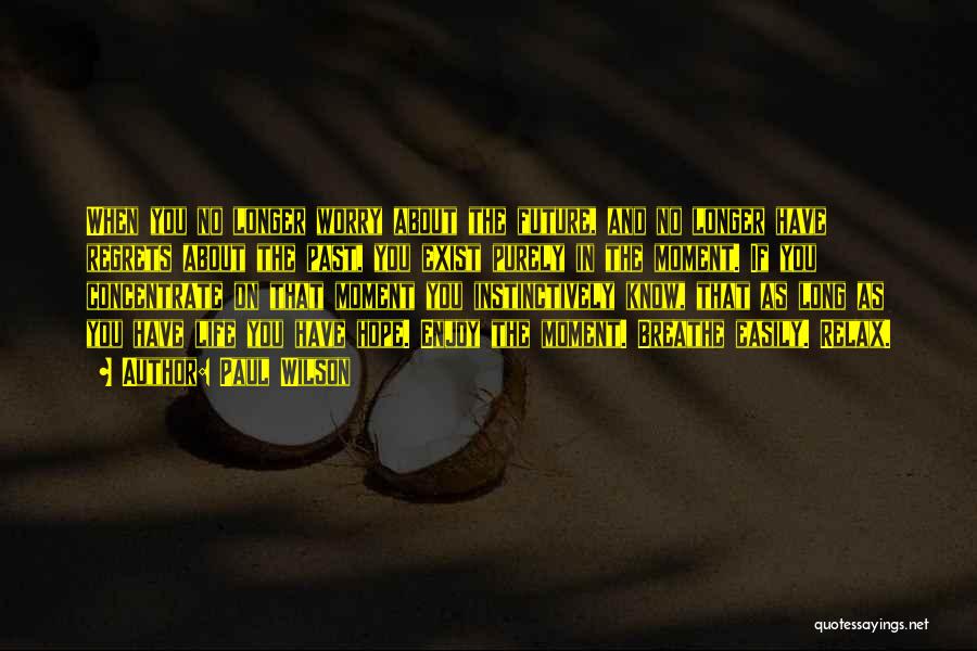 Paul Wilson Quotes: When You No Longer Worry About The Future, And No Longer Have Regrets About The Past, You Exist Purely In