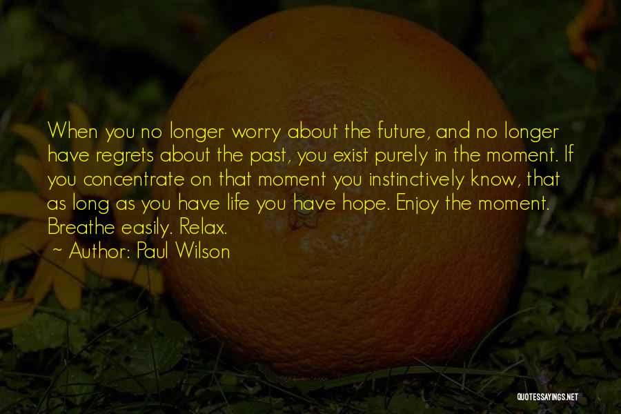 Paul Wilson Quotes: When You No Longer Worry About The Future, And No Longer Have Regrets About The Past, You Exist Purely In