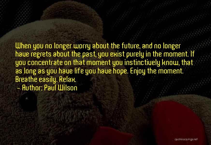 Paul Wilson Quotes: When You No Longer Worry About The Future, And No Longer Have Regrets About The Past, You Exist Purely In