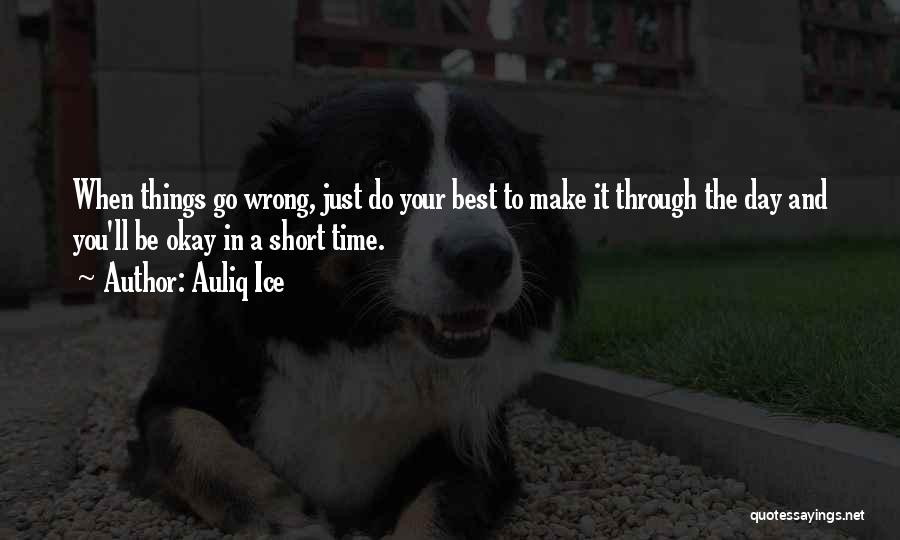 Auliq Ice Quotes: When Things Go Wrong, Just Do Your Best To Make It Through The Day And You'll Be Okay In A