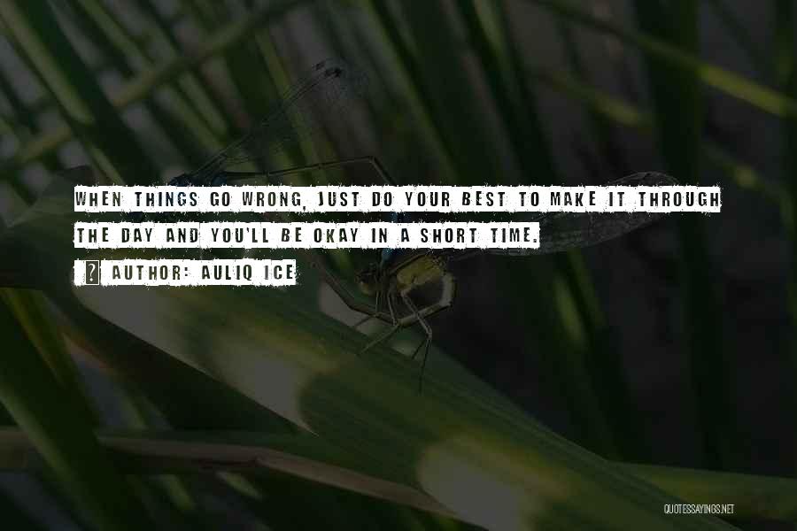 Auliq Ice Quotes: When Things Go Wrong, Just Do Your Best To Make It Through The Day And You'll Be Okay In A