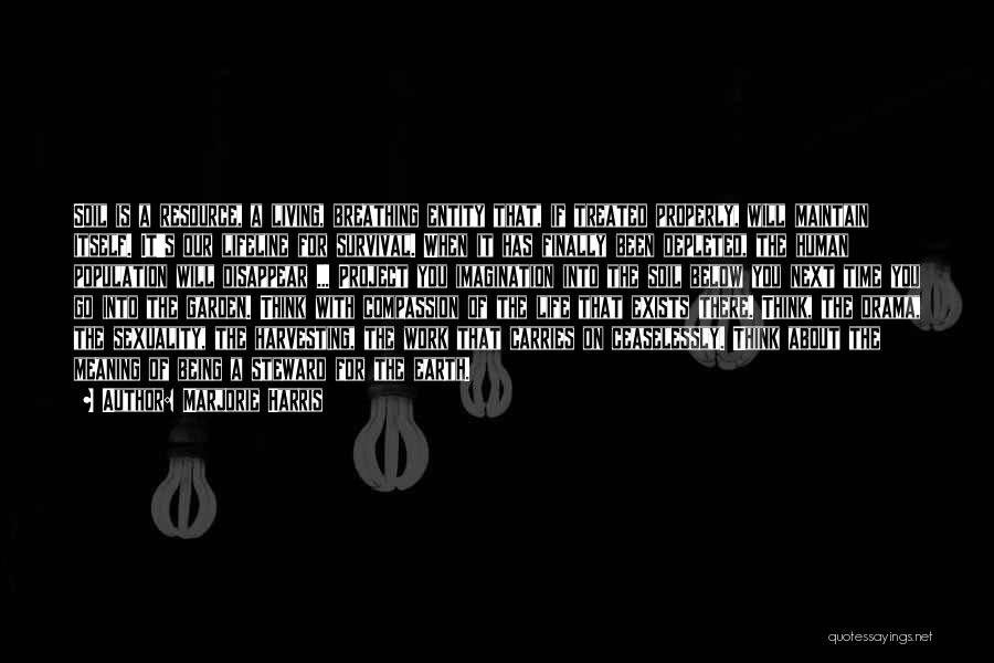 Marjorie Harris Quotes: Soil Is A Resource, A Living, Breathing Entity That, If Treated Properly, Will Maintain Itself. It's Our Lifeline For Survival.