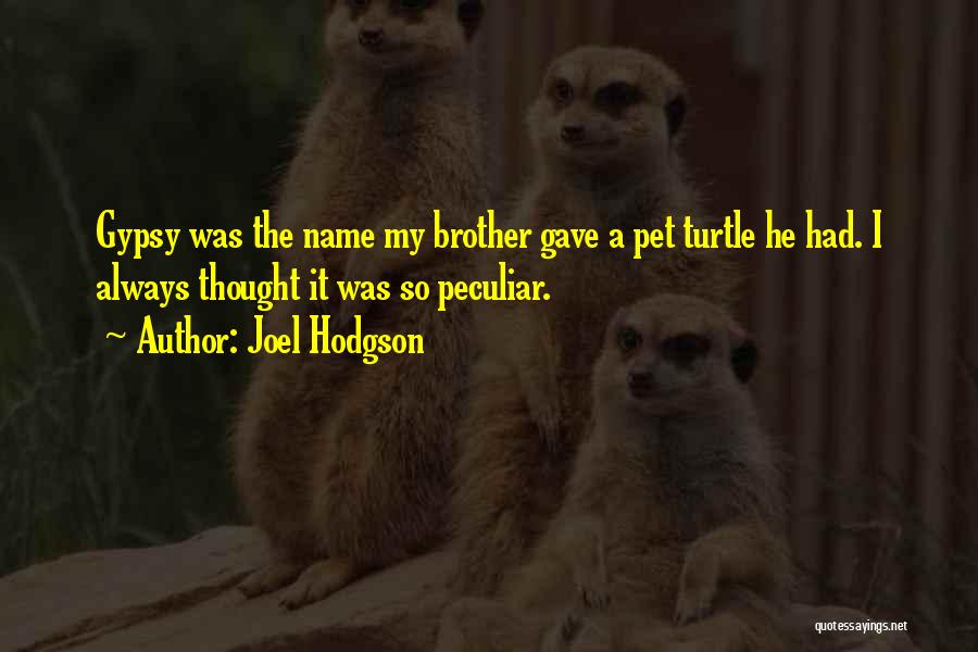 Joel Hodgson Quotes: Gypsy Was The Name My Brother Gave A Pet Turtle He Had. I Always Thought It Was So Peculiar.